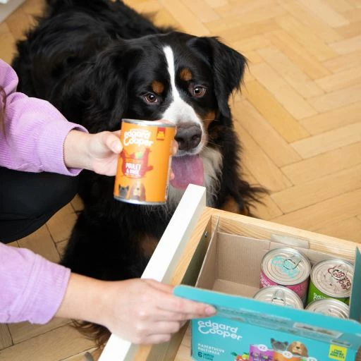 Edgard & Cooper Wet Dogs Multipack Poulet, Cerf Et Agneau 9 Edgard & Cooper Wet Dogs Multipack Poulet, Cerf Et Agneau – Image 7