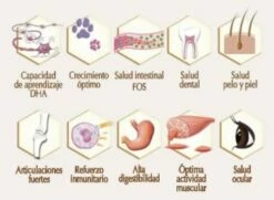 Natura Diet Puppy & Junior Large Breed -Miscota Soldes Boutique natura diet pienso cachorro madres beneficios 62f6540047c34 g