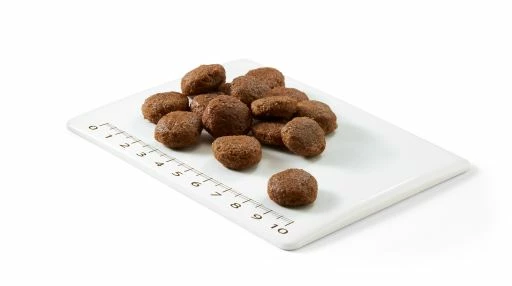 Schesir Thon Pour Chien Moyen / Gros Natural Selection 4 Schesir Thon Pour Chien Moyen / Gros Natural Selection – Image 2