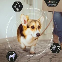 Pro Plan Optiage Adulte 7+ Poulet Medium/Large -Miscota Soldes Boutique optiage adult 7 de pollo medium large 2 g