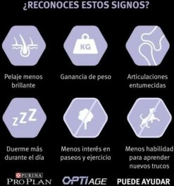 Pro Plan Optiage Adulte 7+ Poulet Medium/Large -Miscota Soldes Boutique optiage adult 7 de pollo medium large 4 g