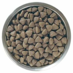 Pro Plan Optibalance Large Athletic Adult Riche En Poulet -Miscota Soldes Boutique optibalance adult de pollo large athletic 3 g