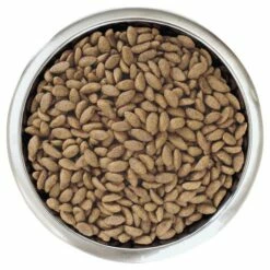 Pro Plan Optiderma Adulte Saumon Large Robust -Miscota Soldes Boutique optiderma adult salmon large robust 3 g