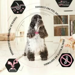 Pro Plan Optiderma Medium Puppy Sensitive Skin Pour Chiots Riche En Saumon 19 Pro Plan Optiderma Medium Puppy Sensitive Skin Pour Chiots Riche En Saumon -Miscota Soldes Boutique optiderma puppy de salmon medium 2 g 1