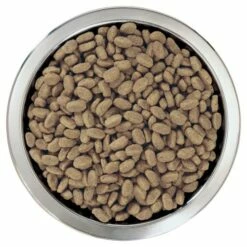 Pro Plan Optiderma Medium Puppy Sensitive Skin Pour Chiots Riche En Saumon 16 Pro Plan Optiderma Medium Puppy Sensitive Skin Pour Chiots Riche En Saumon -Miscota Soldes Boutique optiderma puppy de salmon medium 3 g