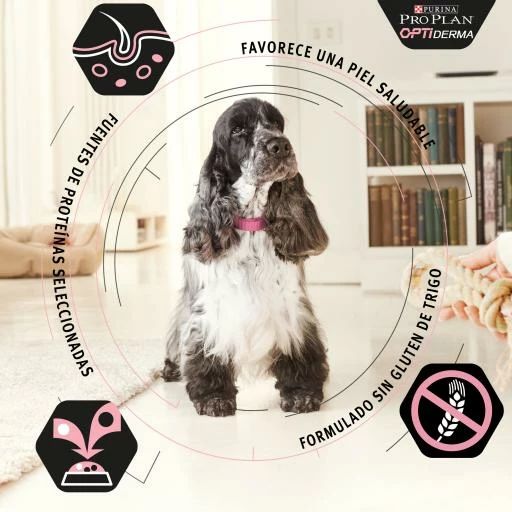 Pro Plan Optiderma Small & Mini Puppy Sensitive Skin Pour Chiots Au Saumon 4 Pro Plan Optiderma Small & Mini Puppy Sensitive Skin Pour Chiots Au Saumon – Image 2