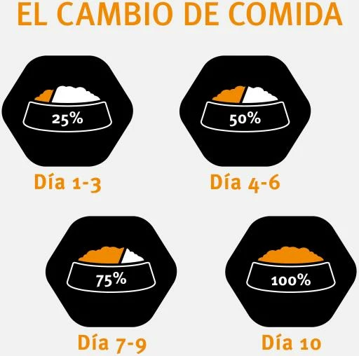 Pro Plan Optiderma Small & Mini Puppy Sensitive Skin Pour Chiots Au Saumon 6 Pro Plan Optiderma Small & Mini Puppy Sensitive Skin Pour Chiots Au Saumon – Image 4