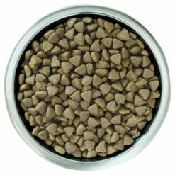 Pro Plan Optistart Puppy Poulet Large Athletic -Miscota Soldes Boutique optistart puppy de pollo large athletic 3 3 g