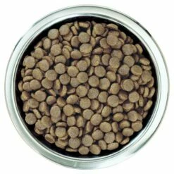 Pro Plan Optistart Medium Puppy Pour Chiots Au Poulet -Miscota Soldes Boutique optistart puppy de pollo medium 3 g