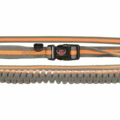 Trixie Laisse Spéciale Pour Chien Pour La Course à Pied Gris/Vert 11 Trixie Laisse Spéciale Pour Chien Pour La Course à Pied Gris/Vert -Miscota Soldes Boutique originals PHO PRO DET CLIP PHO PRO DET CLIP 12763 3 SALL AWK V1 63106efce7cb9 g