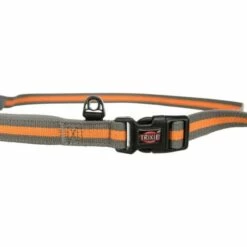 Trixie Laisse Spéciale Pour Chien Pour La Course à Pied Gris/Vert 12 Trixie Laisse Spéciale Pour Chien Pour La Course à Pied Gris/Vert -Miscota Soldes Boutique originals PHO PRO DET CLIP PHO PRO DET CLIP 12763 4 SALL AWK V1 63106f0084f64 g