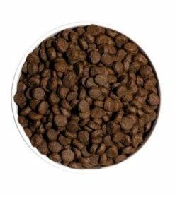 Ownat Grain Free Junior -Miscota Soldes Boutique ow grain free prime junior chicken turkey platoadl 6389ea59508a7 g