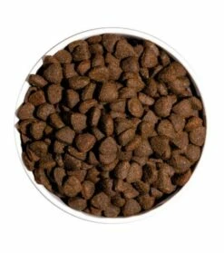 Ownat Poulet Sans Grains Pour Adultes Just Canine -Miscota Soldes Boutique ow just grain free adult chicken dog platoadl 6389ebb48c9c4 g