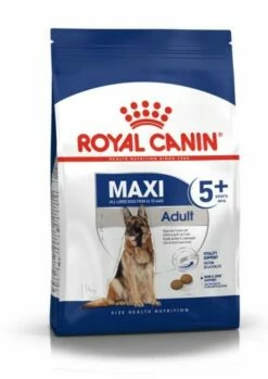 Royal Canin Tourteau Maxi Adult +5 -Miscota Soldes Boutique packshot maxi ad5 shn17 1 6246c4cddf143 g