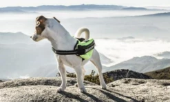 Julius K9 Sacs De Harnais Universels IDC -Miscota Soldes Boutique perro con bolsas julius arnes 6474c34db7491 g