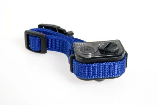 Karlie Flamingo Algodon Noeud De Soins Dentaires, 48cm Minty 4 Karlie Flamingo Algodon Noeud De Soins Dentaires, 48cm Minty – Image 2