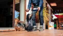 HPM Veterinary Senior Small & Toy -Miscota Soldes Boutique piensoAdultMini 62306e9d07d3c g