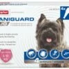 Beaphar Pipettes Duo Caniguard Pour Chiens De 4-10 Kg 1 Beaphar Pipettes Duo Caniguard Pour Chiens De 4-10 Kg -Miscota Soldes Boutique pipetas para perro caniguard pequeno 62bae24d16053 g