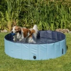 Trixie Piscine Pour Chiens -Miscota Soldes Boutique piscine pour chien trixie 80 cm 62a751a63195f g