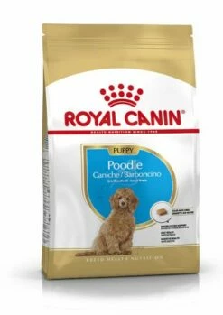 Royal Canin Poodle Puppy Aliment Pour Chiots -Miscota Soldes Boutique poodle puppy 1 g