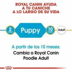 Royal Canin Poodle Puppy Aliment Pour Chiots -Miscota Soldes Boutique poodle puppy 4 g