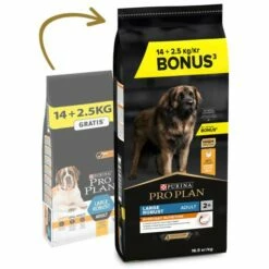 Pro Plan Optibalance Large Robust Adult Au Poulet -Miscota Soldes Boutique pro plan everyday nutrition large robust racao seca para cao adulto grande frango 2 63f51e1d20348 g