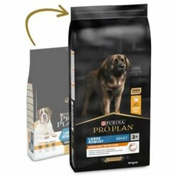 Pro Plan Optibalance Large Robust Adult Au Poulet -Miscota Soldes Boutique pro plan everyday nutrition large robust racao seca para cao adulto grande frango 63eeb102457ee g