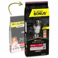 Pro Plan Optiderma Medium Adult Sensitive Skin Riche En Saumon 17 Pro Plan Optiderma Medium Adult Sensitive Skin Riche En Saumon -Miscota Soldes Boutique pro plan sensitive skin medium racao seca para cao adulto medio com pele sensivel salmao 2 63f51ab85ed6b g