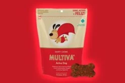 VetNova Multiva Active Dog 45 Chews -Miscota Soldes Boutique producto multiva active dog 1 636ce146727ad g