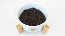 Lenda Nourriture Au Saumon Pour Chiens Adultes 7 Lenda Nourriture Au Saumon Pour Chiens Adultes -Miscota Soldes Boutique producto5 salmon 787x progressive 648993eed3c13 g