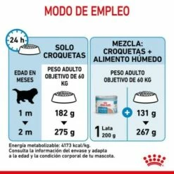 Royal Canin Giant Starter -Miscota Soldes Boutique rc spt dry giantstart cv 7 es es 6246c8cbb7749 g