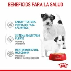 Lot 12 Royal Canin Starter Mousse -Miscota Soldes Boutique rc spt wet startermousse can cv 3 es es 624ad6eb59a50 g