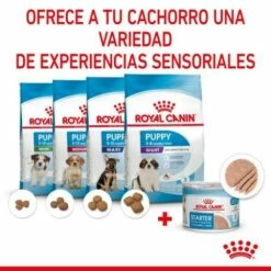 Lot 12 Royal Canin Starter Mousse -Miscota Soldes Boutique rc spt wet startermousse can cv 4 es es 624ad6ef7e758 g
