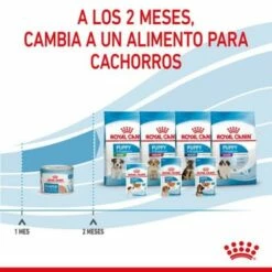 Lot 12 Royal Canin Starter Mousse -Miscota Soldes Boutique rc spt wet startermousse can cv 8 es es 624ad6e8e0713 g