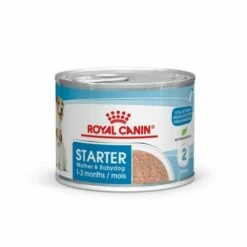 Lot 12 Royal Canin Starter Mousse