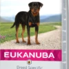 Eukanuba Rottweiler