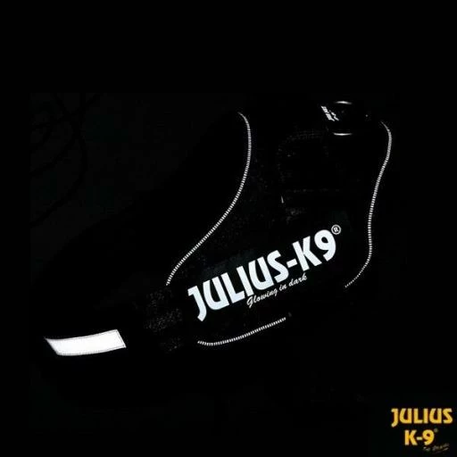 Trixie Arné Power Fuchsia 4 Trixie Arné Power Fuchsia – Image 2