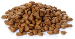 Triple Crown Sbeltic Dog -Miscota Soldes Boutique seccion 1 imagen 2 17 630dc006841b4 g