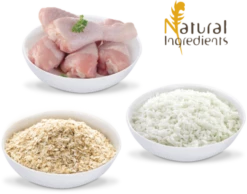 Triple Crown Sbeltic Dog -Miscota Soldes Boutique seccion 2 imagen 1 1 630dc058baad5 g