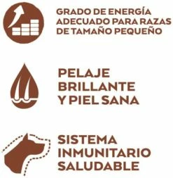 Nature's Variety Selected Mini Adult Sans Grain Saumon -Miscota Soldes Boutique selected mini adult grain free salmon 4 g