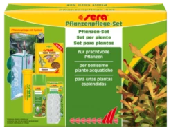 Sera Set Pour Des Plantes Splendides