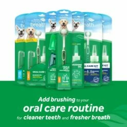 TropiClean Fresh Breath Kit De Hygiène Dentaire Pour Petits Chiens 59 Ml -Miscota Soldes Boutique sjlpr9mwtbj7p3cpbban 6363dafd05651 g