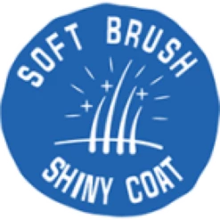 Duvo Plus Cepillo De Cuidado 2 En 1 Con Mango Cómodo 13 Duvo Plus Cepillo De Cuidado 2 En 1 Con Mango Cómodo -Miscota Soldes Boutique softbrush shinycoat 63e0dd4f4a133 g