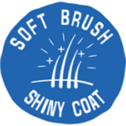 Duvo Plus Cepillo De Cuidado 2 En 1 Con Mango Cómodo 8 Duvo Plus Cepillo De Cuidado 2 En 1 Con Mango Cómodo – Image 6