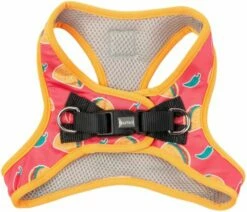 FuzzYard Step In Arnes Hey Esse