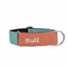 Bull Collier Lévrier Orange-Turquoise -Miscota Soldes Boutique thumbnail COLLAR NARANJA TURQUESA 649ac8fdac2cc g