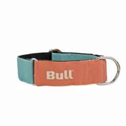 Bull Collier Lévrier Orange-Turquoise