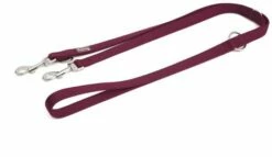 Freedog Laisse Multi Positions Basic Poignée Dressage En Nylon Turquoise -Miscota Soldes Boutique tirador adiestramiento nylon 1 6 g