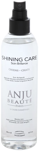 Anju Beauté Lumineux Spray Brillant Anju