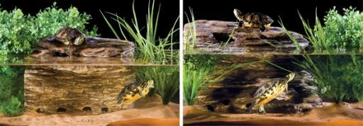 Exo Terra Filtre Et Rock Pour Tortue Turtle Cliff 10 Exo Terra Filtre Et Rock Pour Tortue Turtle Cliff – Image 8